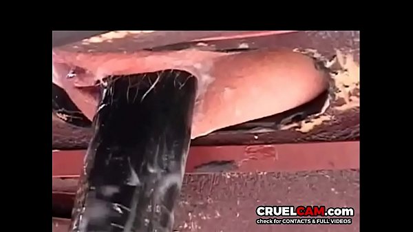 Saddle fuck! Must see! – www.CruelCam.com
