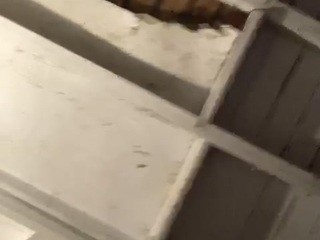 SweetB nude live sex video chat