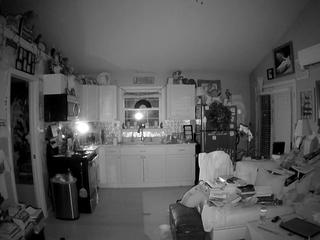 voyeurcam-bridgetleewalters-01 nude live sex video chat