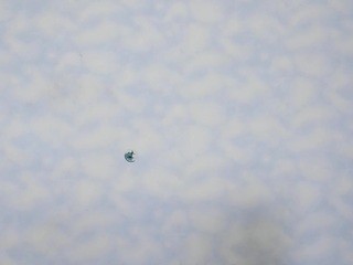 fundollymolly nude live sex video chat