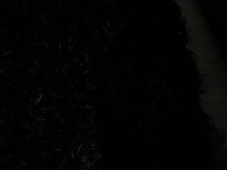 hanna-willians nude live sex video chat