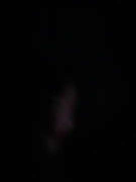 NamiNae naked strip webcam for live sex video chat